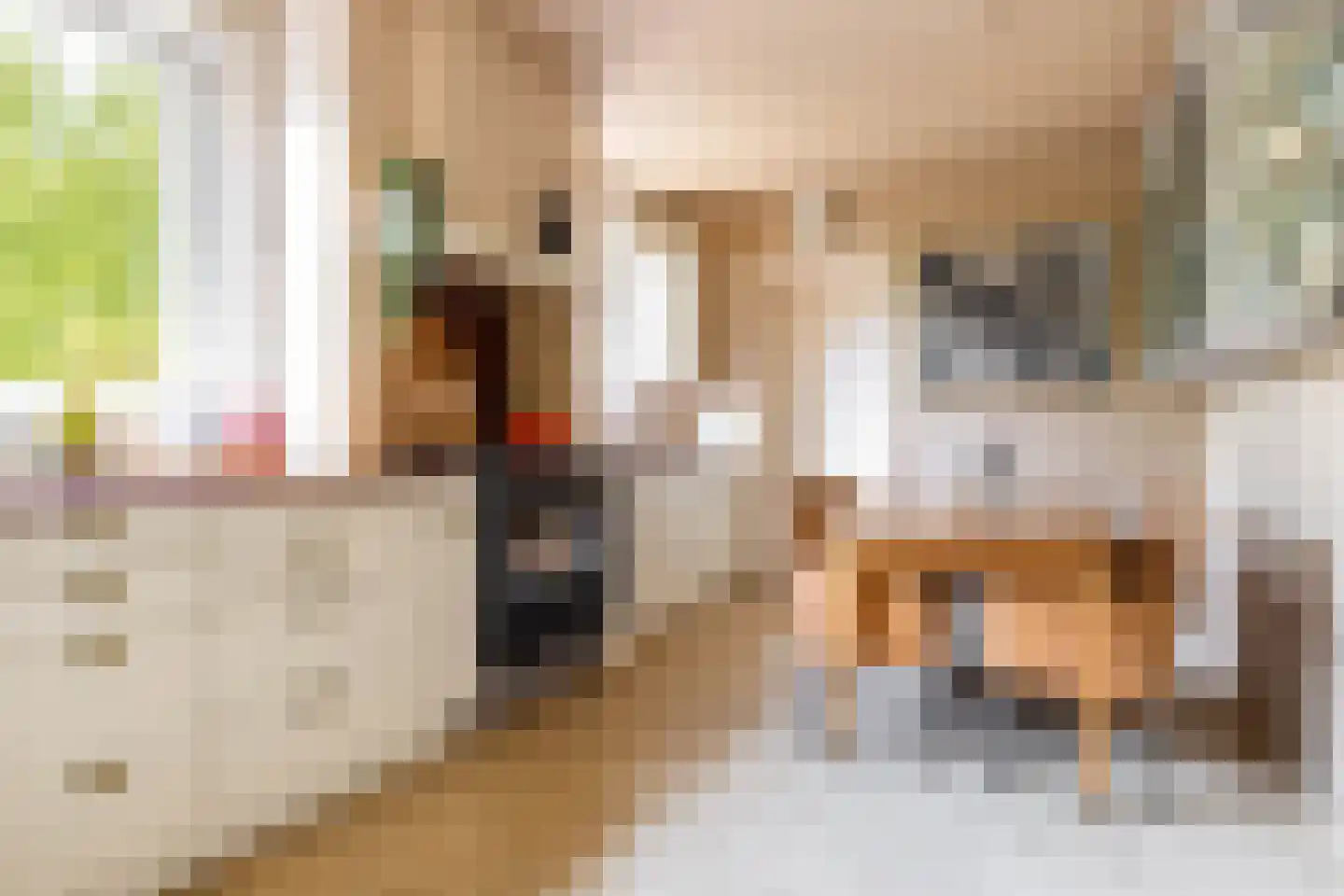 Nieuwe Kampsteeg 2 Glimmen thumbnail 23