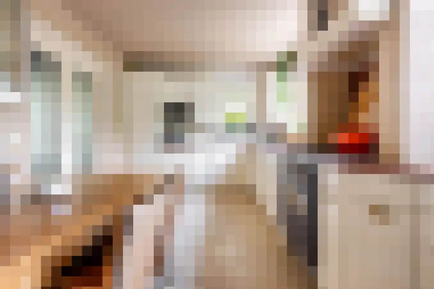 Nieuwe Kampsteeg 2 Glimmen thumbnail 24
