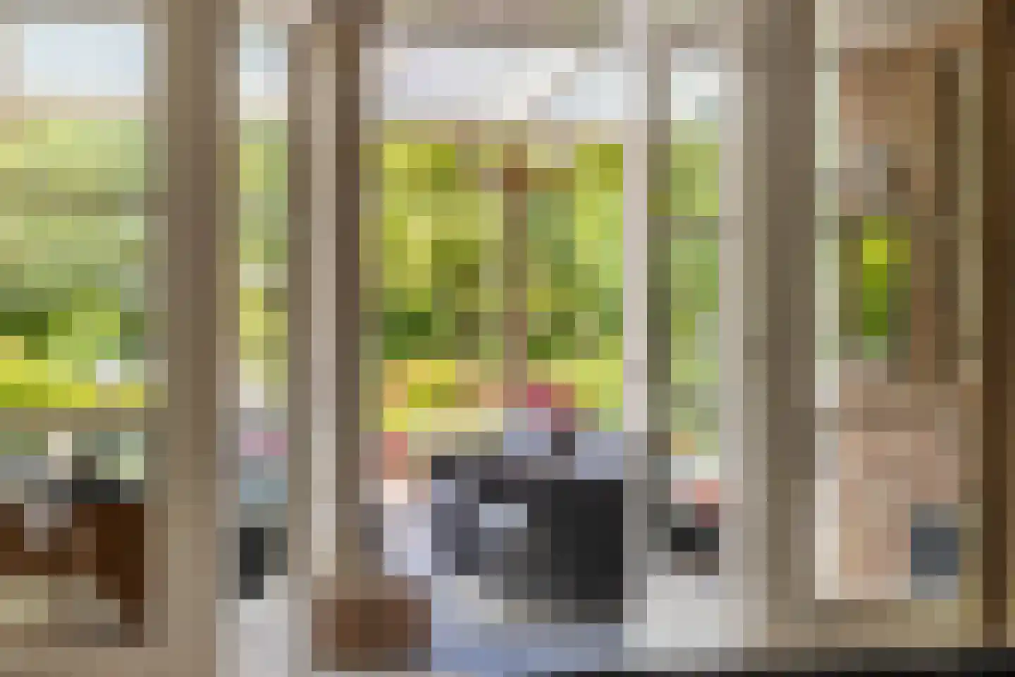Nieuwe Kampsteeg 2 Glimmen thumbnail 28