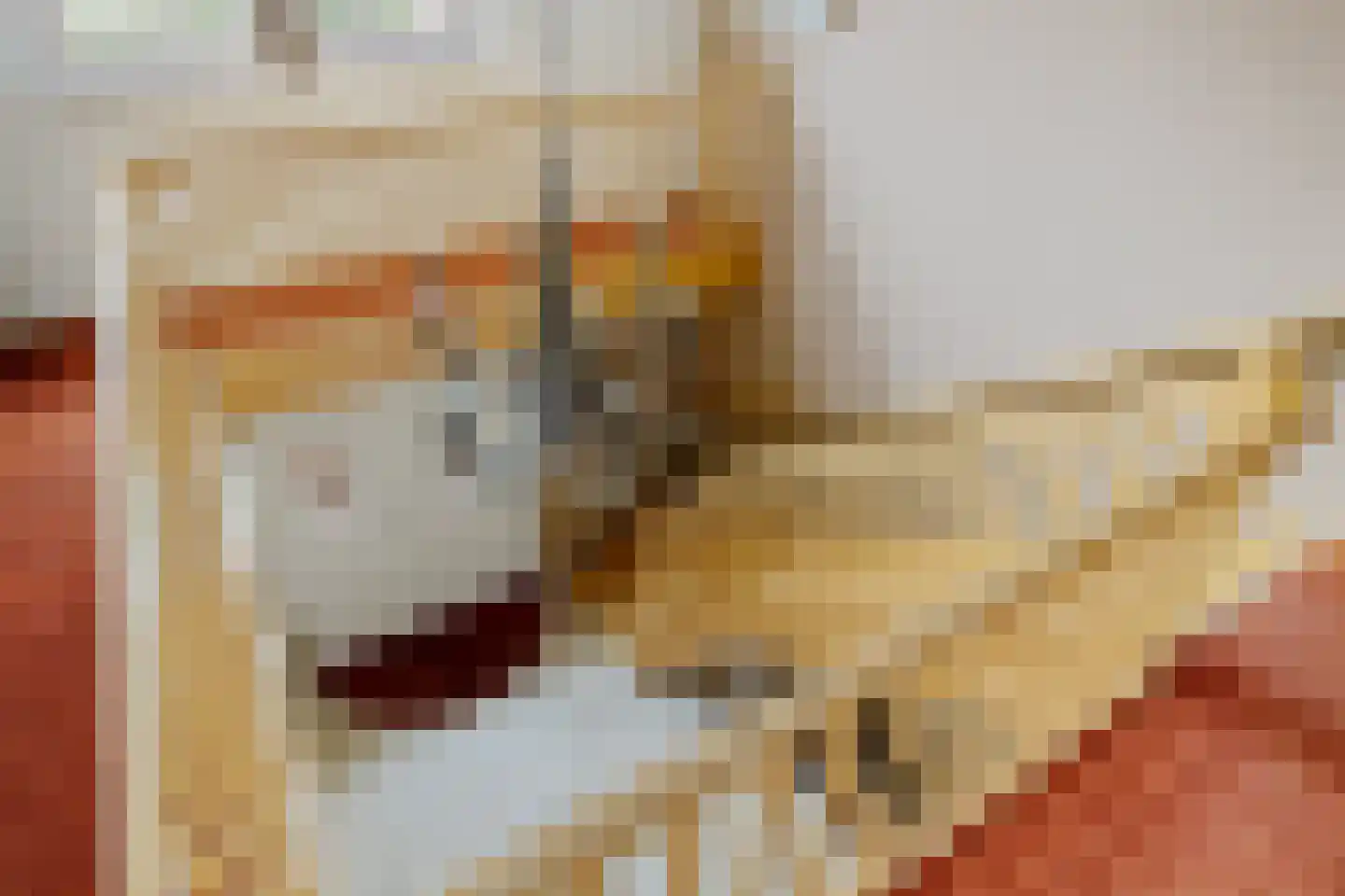 Nieuwe Kampsteeg 2 Glimmen thumbnail 28