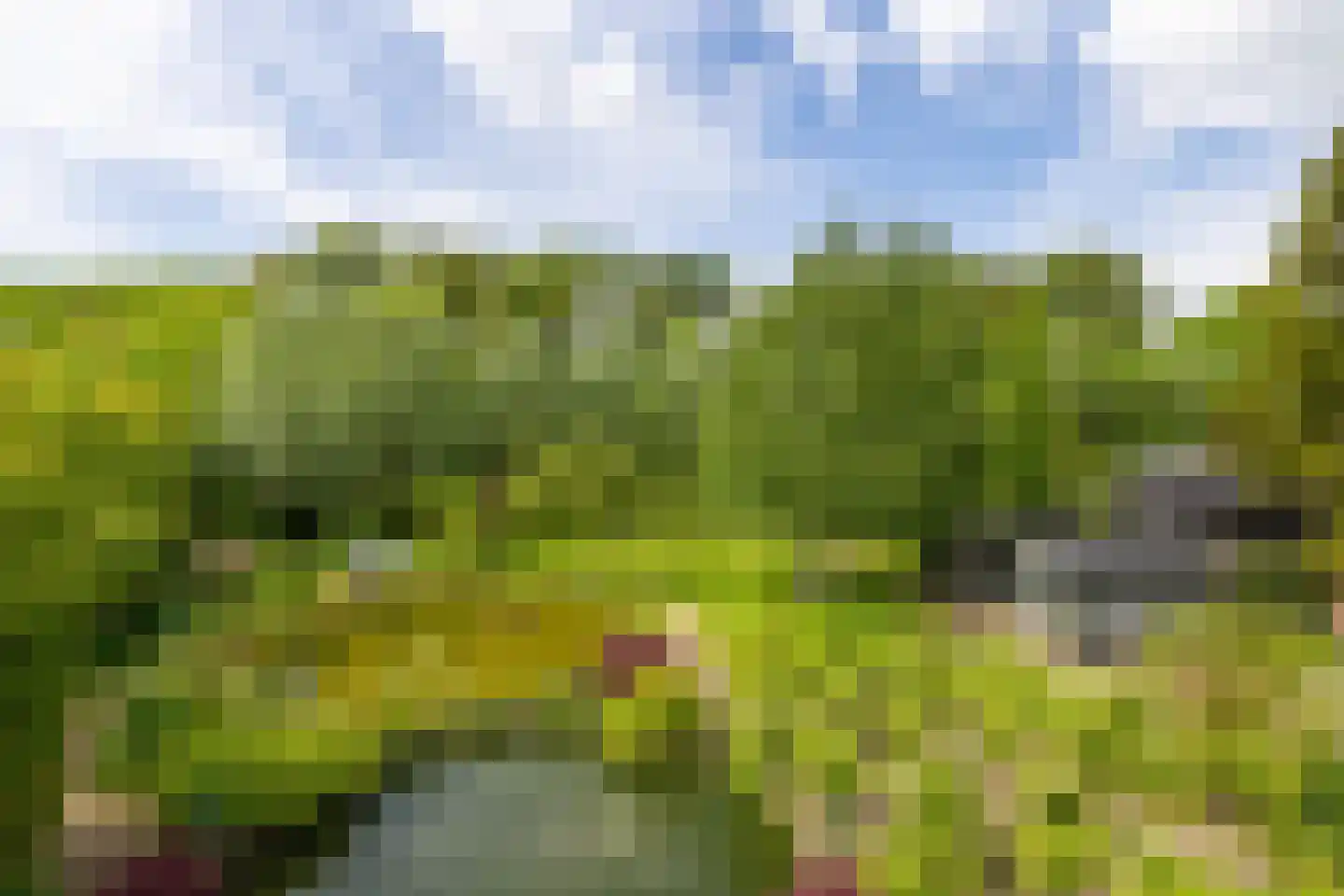 Nieuwe Kampsteeg 2 Glimmen thumbnail 31