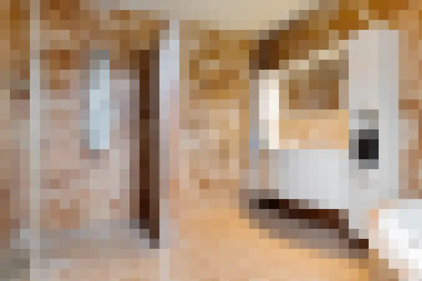 Nieuwe Kampsteeg 2 Glimmen thumbnail 35