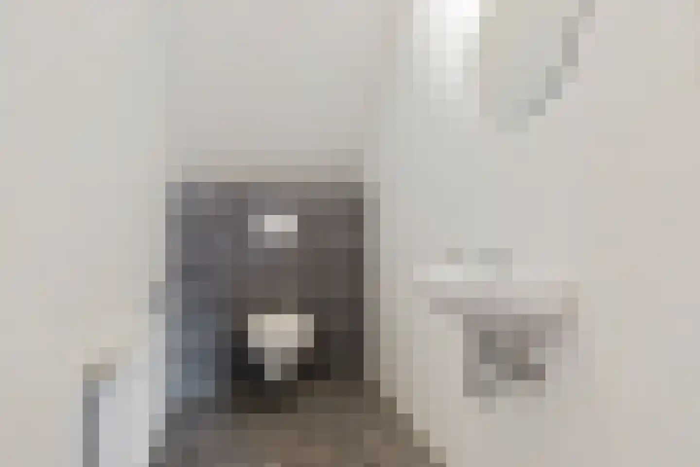 Nieuwe Kampsteeg 2 Glimmen thumbnail 39