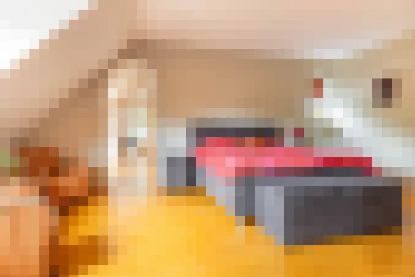 Nieuwe Kampsteeg 2 Glimmen thumbnail 39