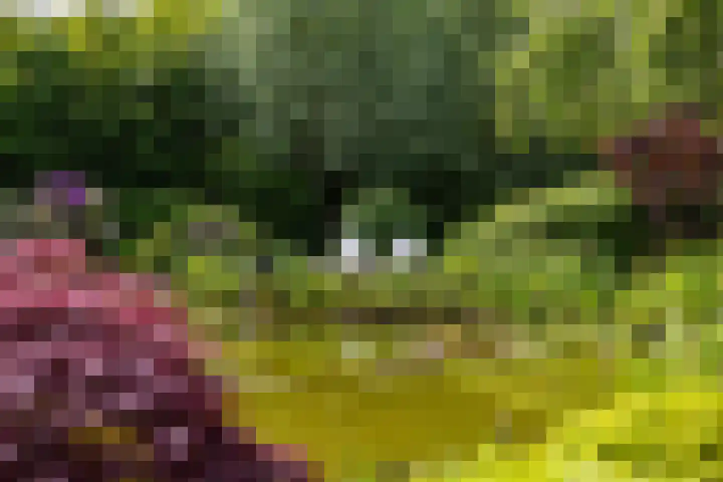 Nieuwe Kampsteeg 2 Glimmen thumbnail 4