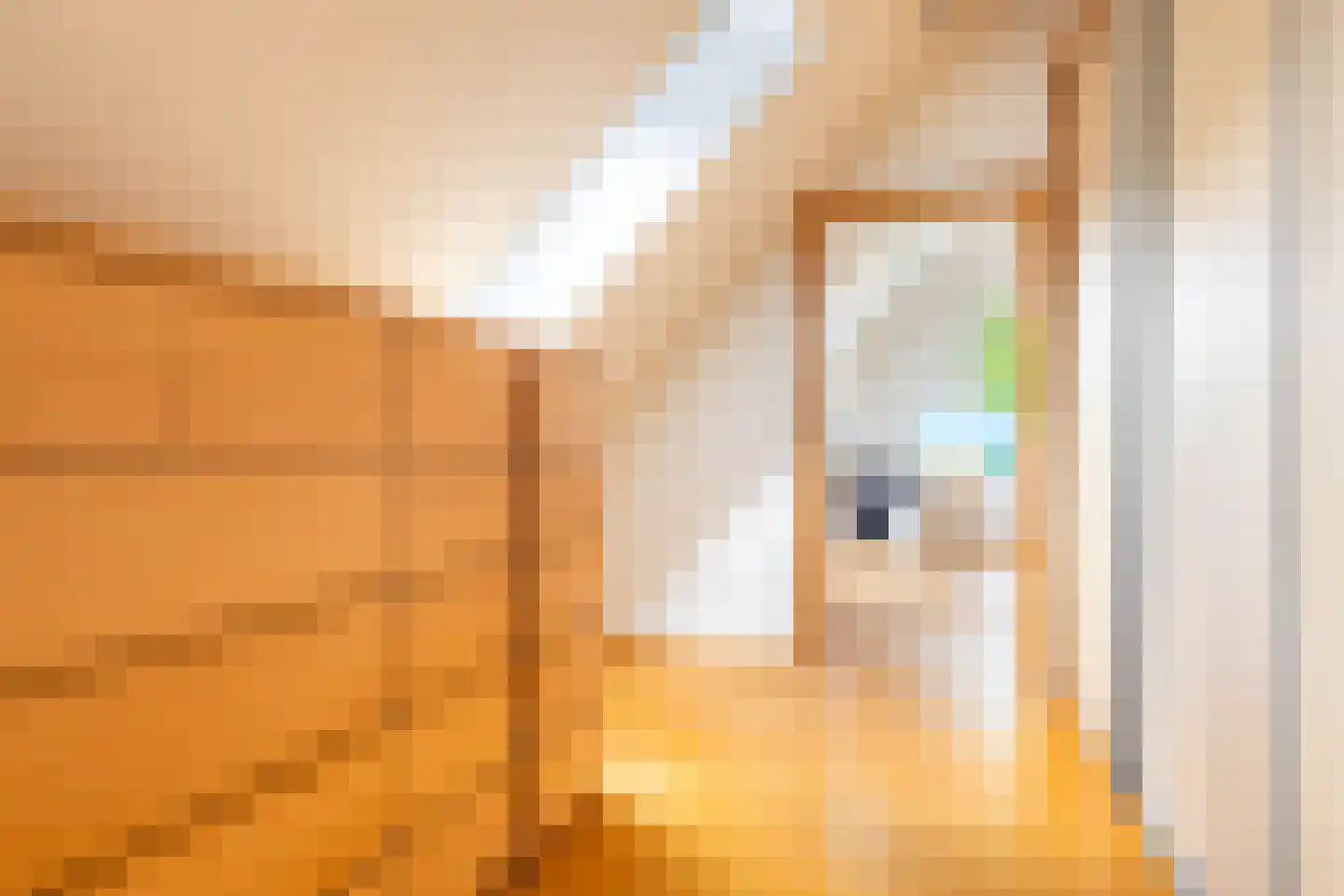 Nieuwe Kampsteeg 2 Glimmen thumbnail 40