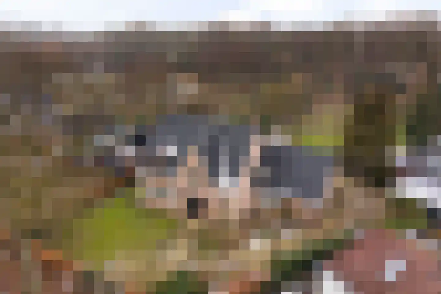 Nieuwe Kampsteeg 2 Glimmen thumbnail 46