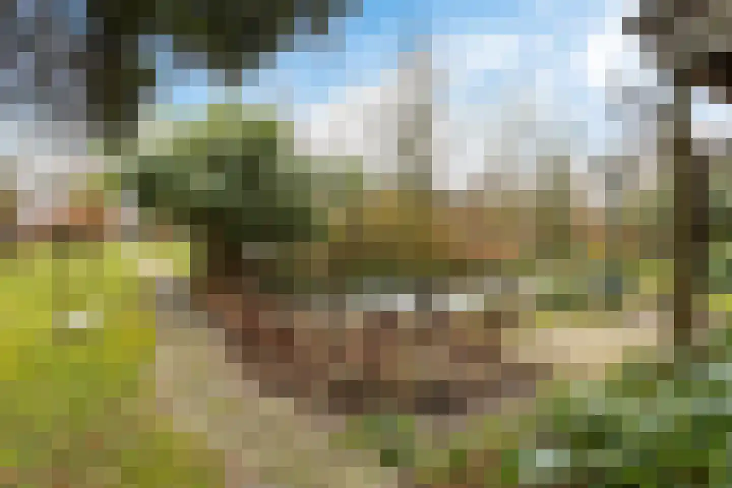 Nieuwe Kampsteeg 2 Glimmen thumbnail 5