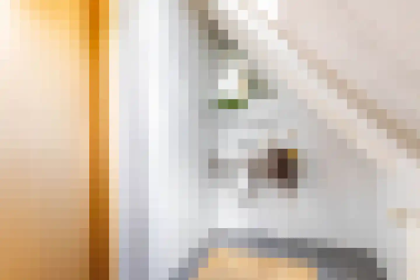 Nieuwe Kampsteeg 2 Glimmen thumbnail 56