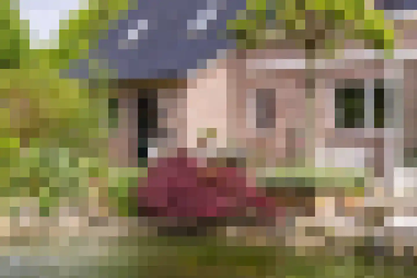 Nieuwe Kampsteeg 2 Glimmen thumbnail 58