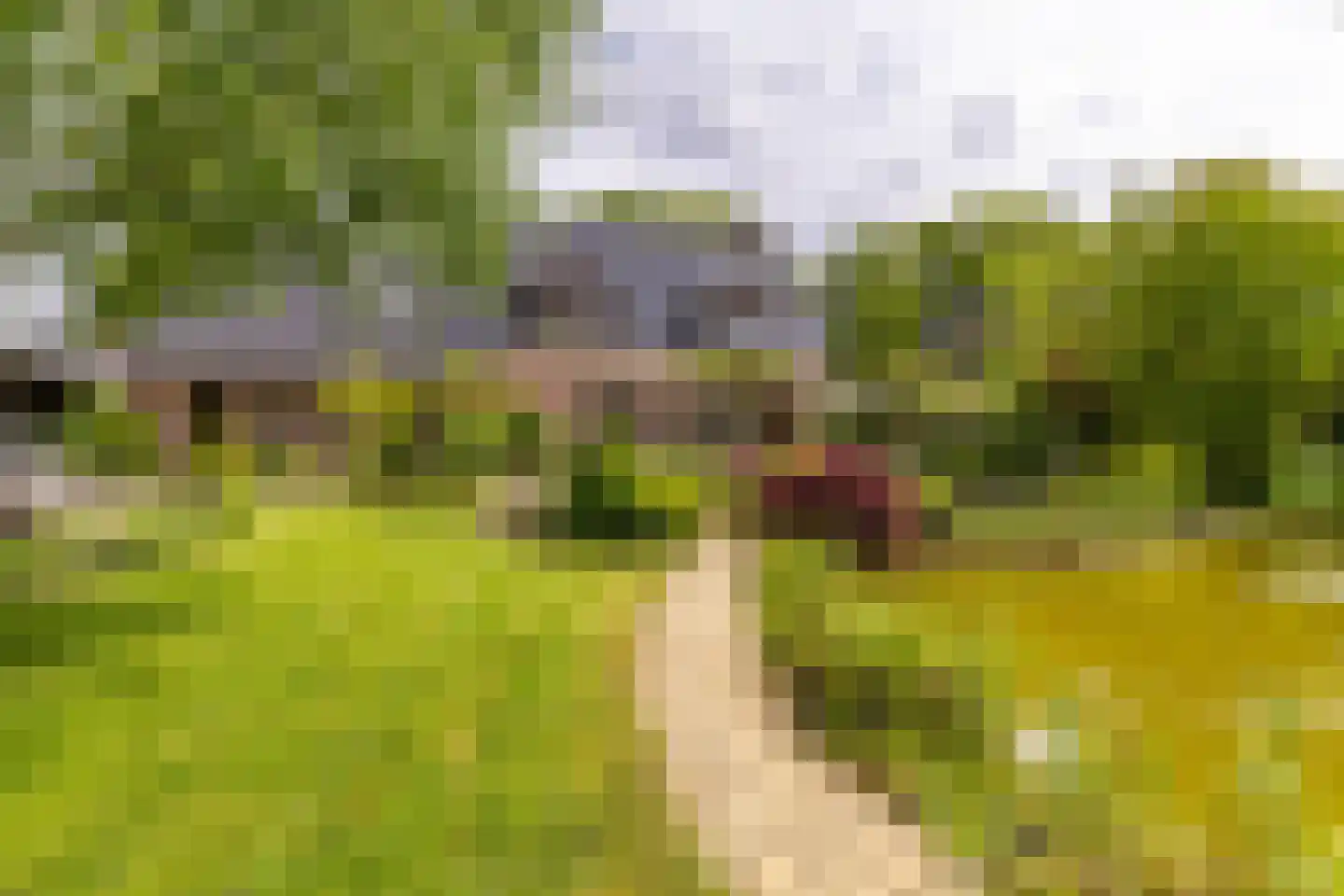 Nieuwe Kampsteeg 2 Glimmen thumbnail 59