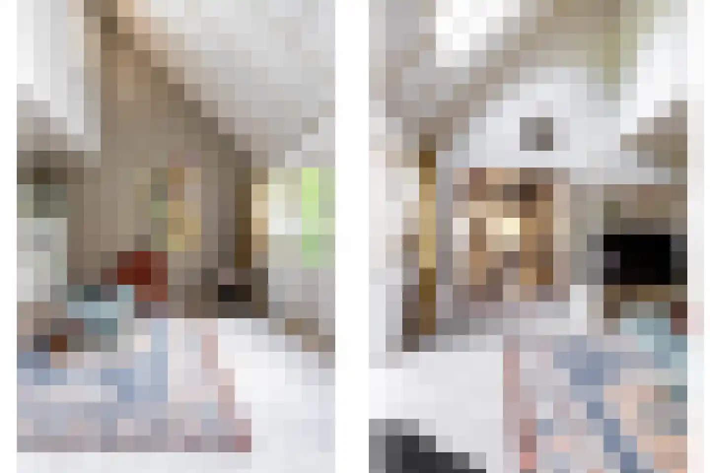 Nieuwe Kampsteeg 2 Glimmen thumbnail 6