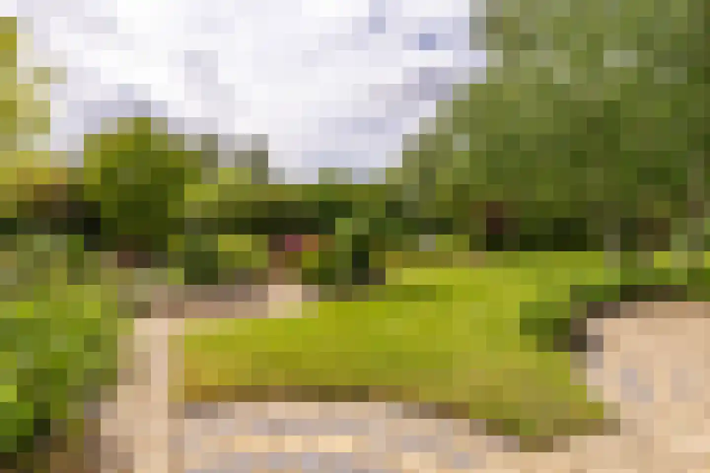 Nieuwe Kampsteeg 2 Glimmen thumbnail 60