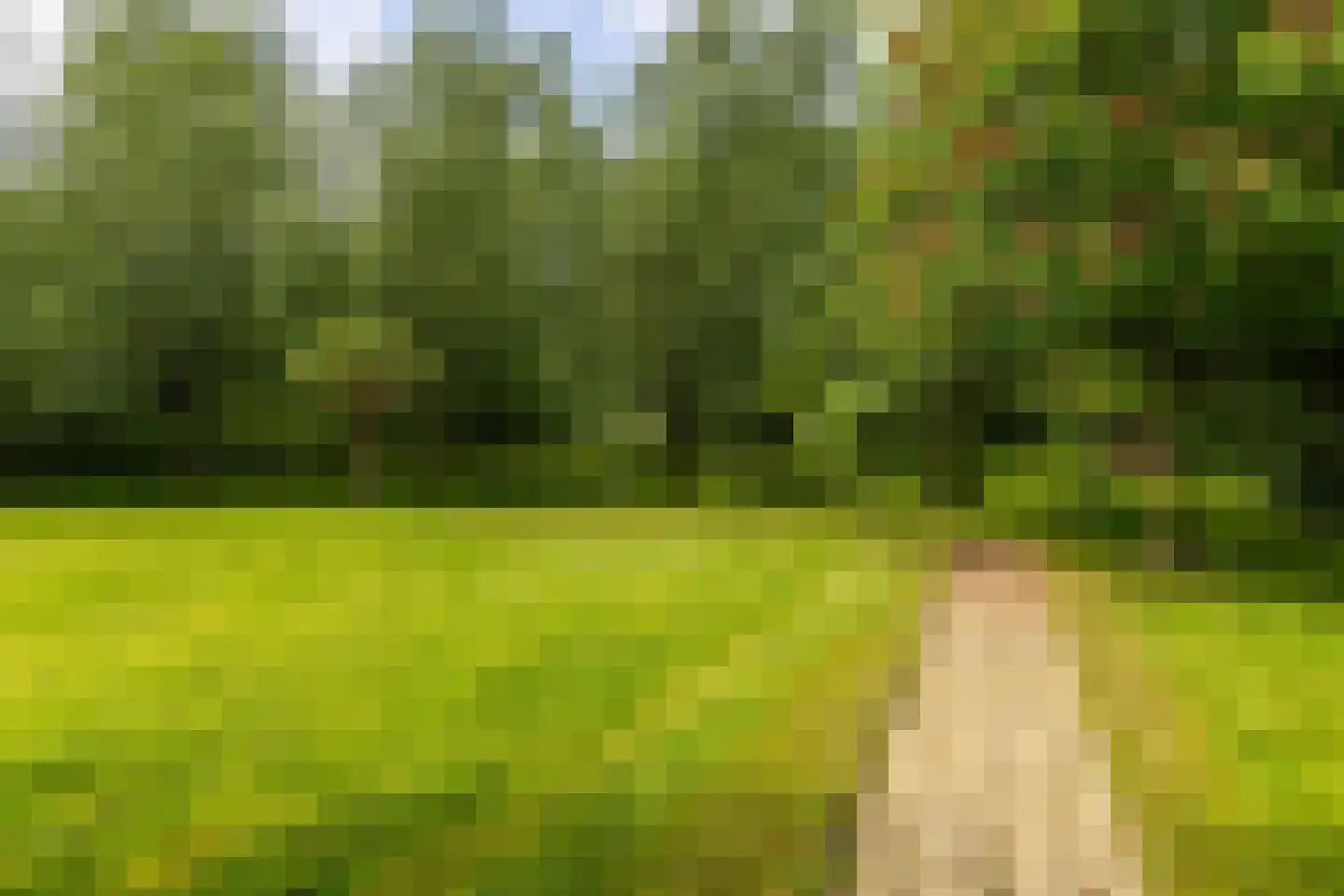 Nieuwe Kampsteeg 2 Glimmen thumbnail 61