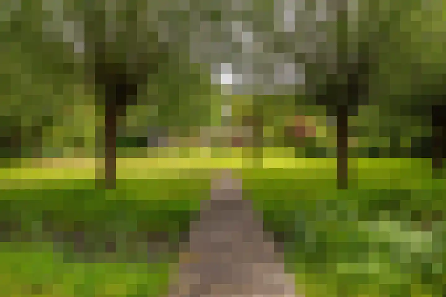 Nieuwe Kampsteeg 2 Glimmen thumbnail 62