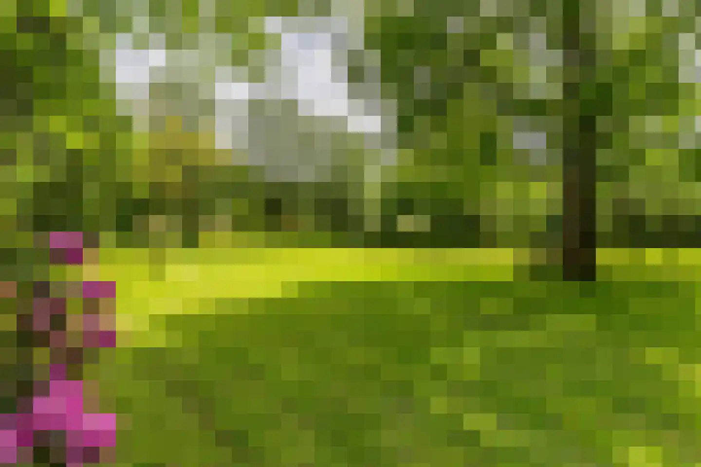Nieuwe Kampsteeg 2 Glimmen thumbnail 63