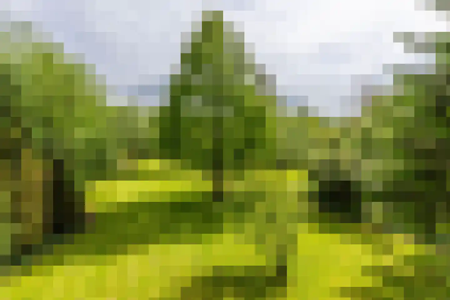 Nieuwe Kampsteeg 2 Glimmen thumbnail 64