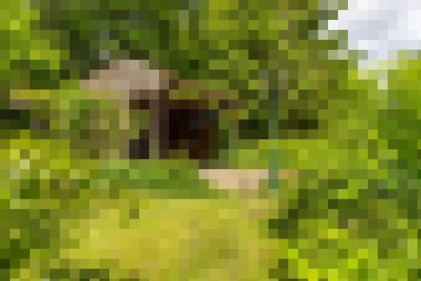 Nieuwe Kampsteeg 2 Glimmen thumbnail 65