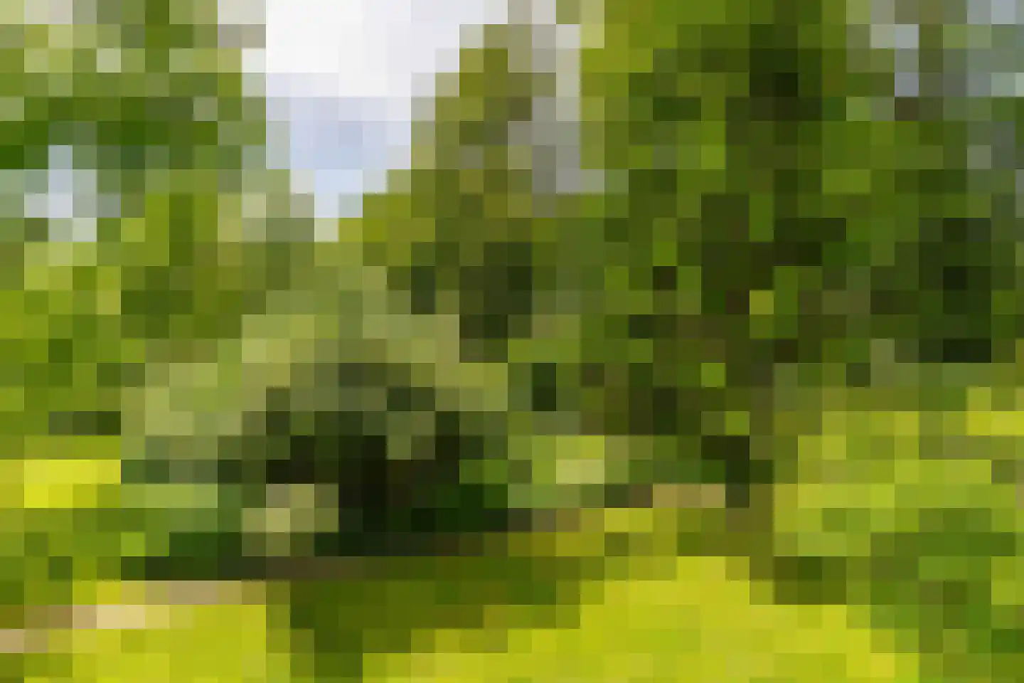 Nieuwe Kampsteeg 2 Glimmen thumbnail 66