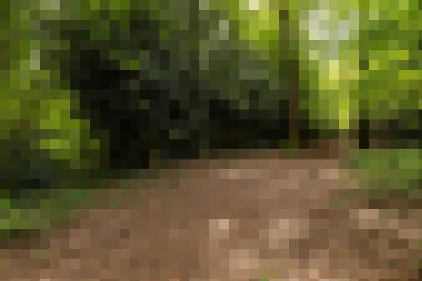 Nieuwe Kampsteeg 2 Glimmen thumbnail 68