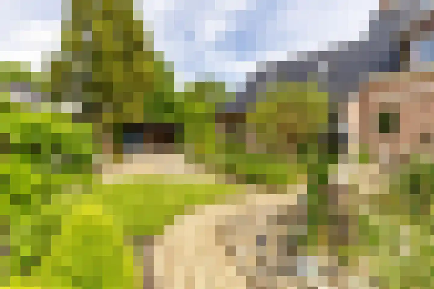Nieuwe Kampsteeg 2 Glimmen thumbnail 69
