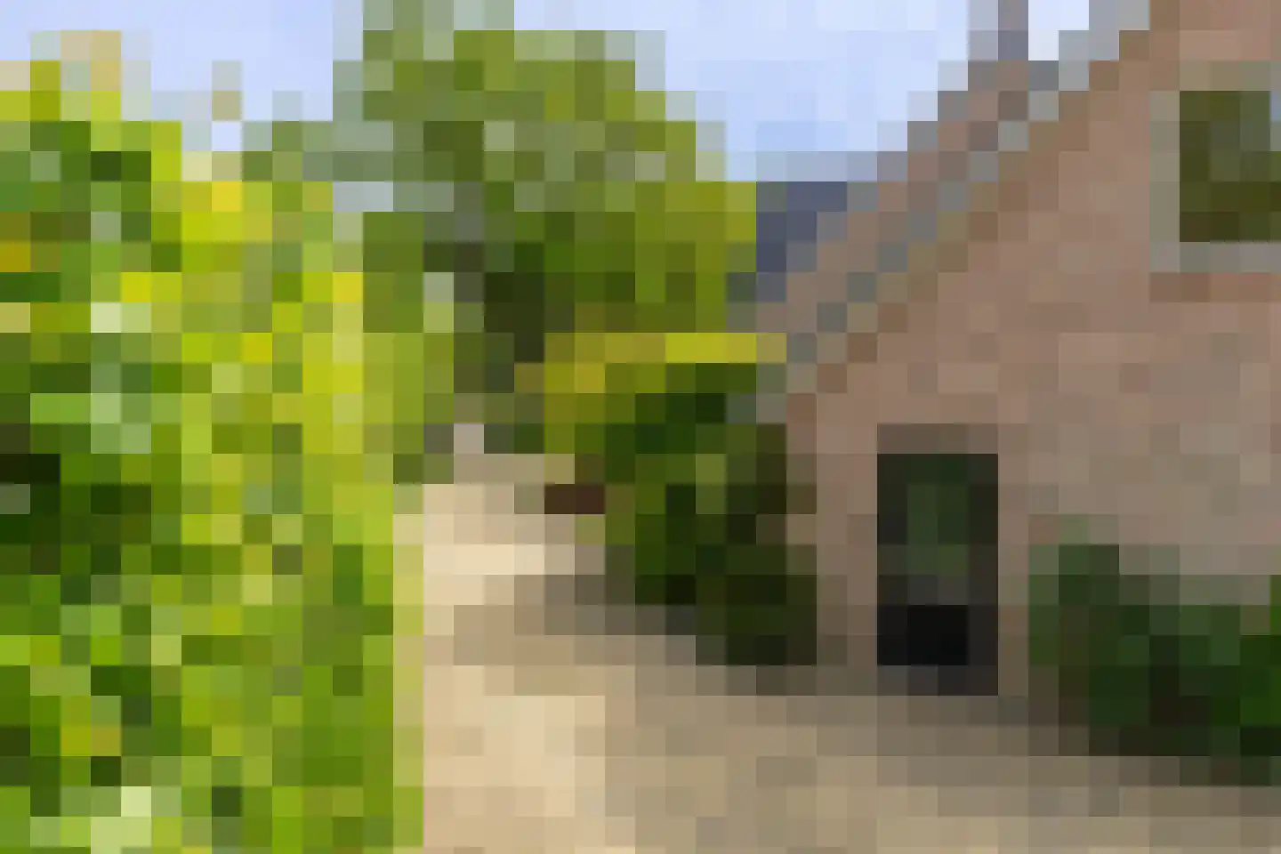 Nieuwe Kampsteeg 2 Glimmen thumbnail 70