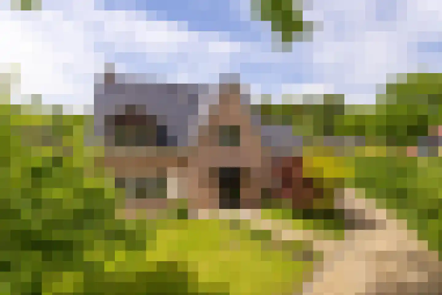 Nieuwe Kampsteeg 2 Glimmen thumbnail 72