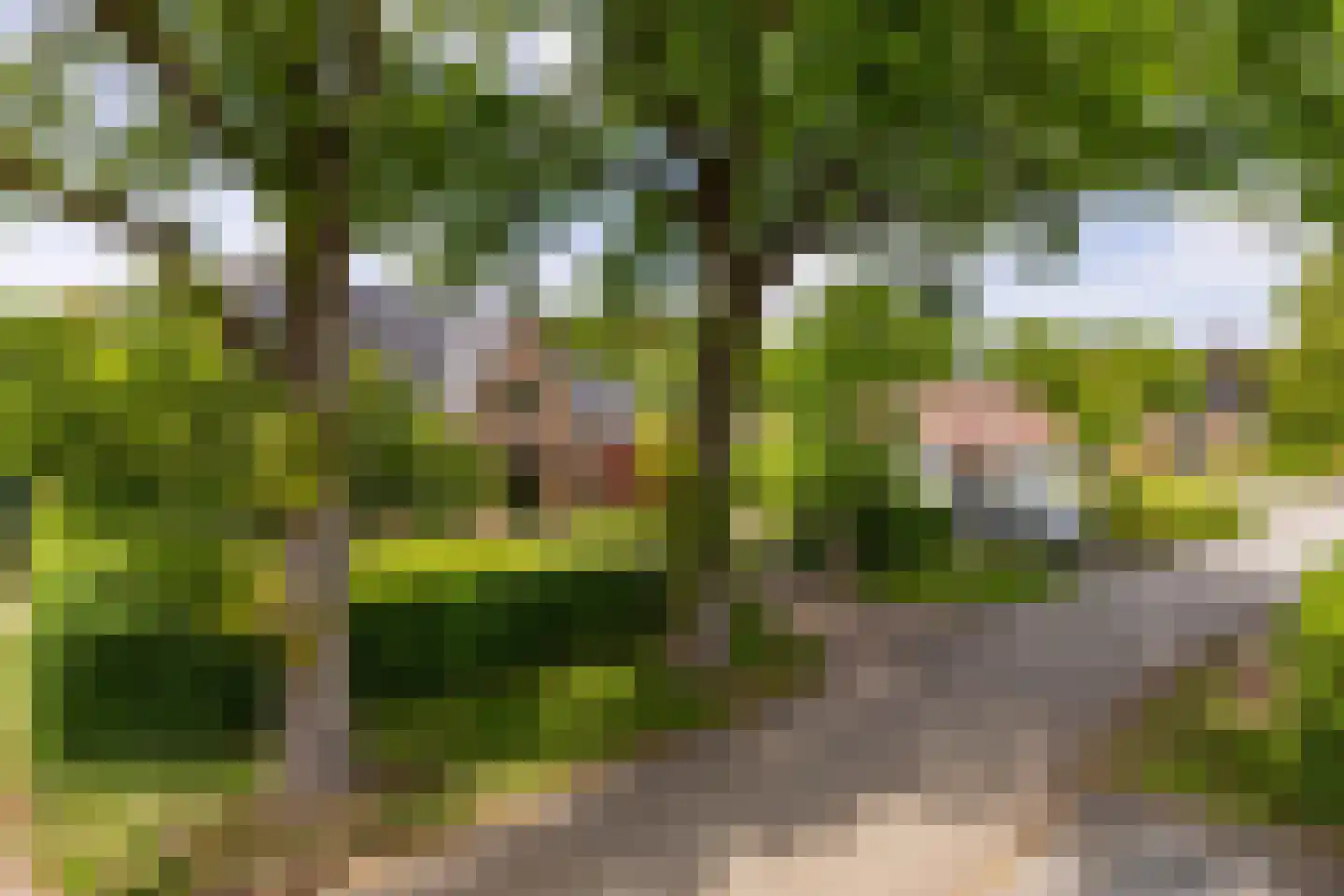 Nieuwe Kampsteeg 2 Glimmen thumbnail 8