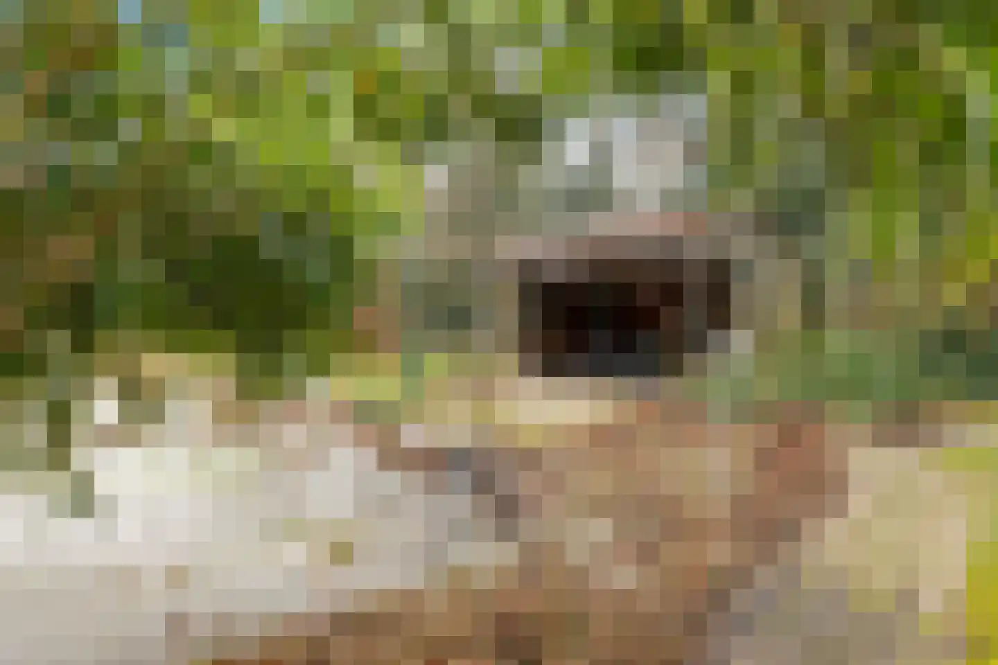 Nieuwe Kampsteeg 2 Glimmen thumbnail 9