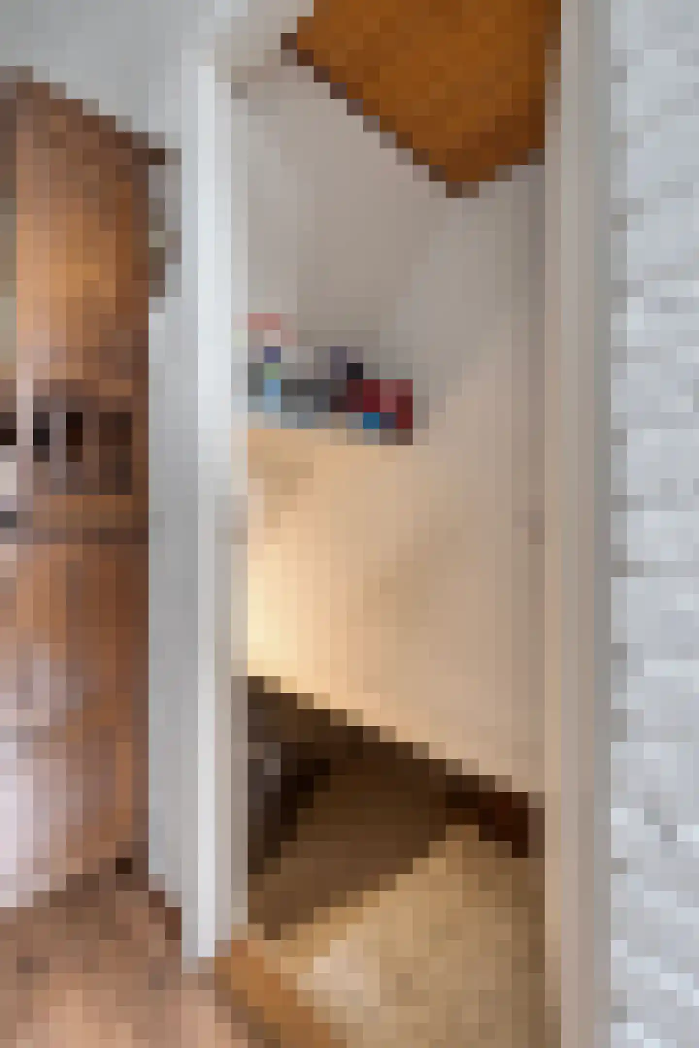 Nieuwe Karnemelkstraat 18 Koewacht thumbnail 22