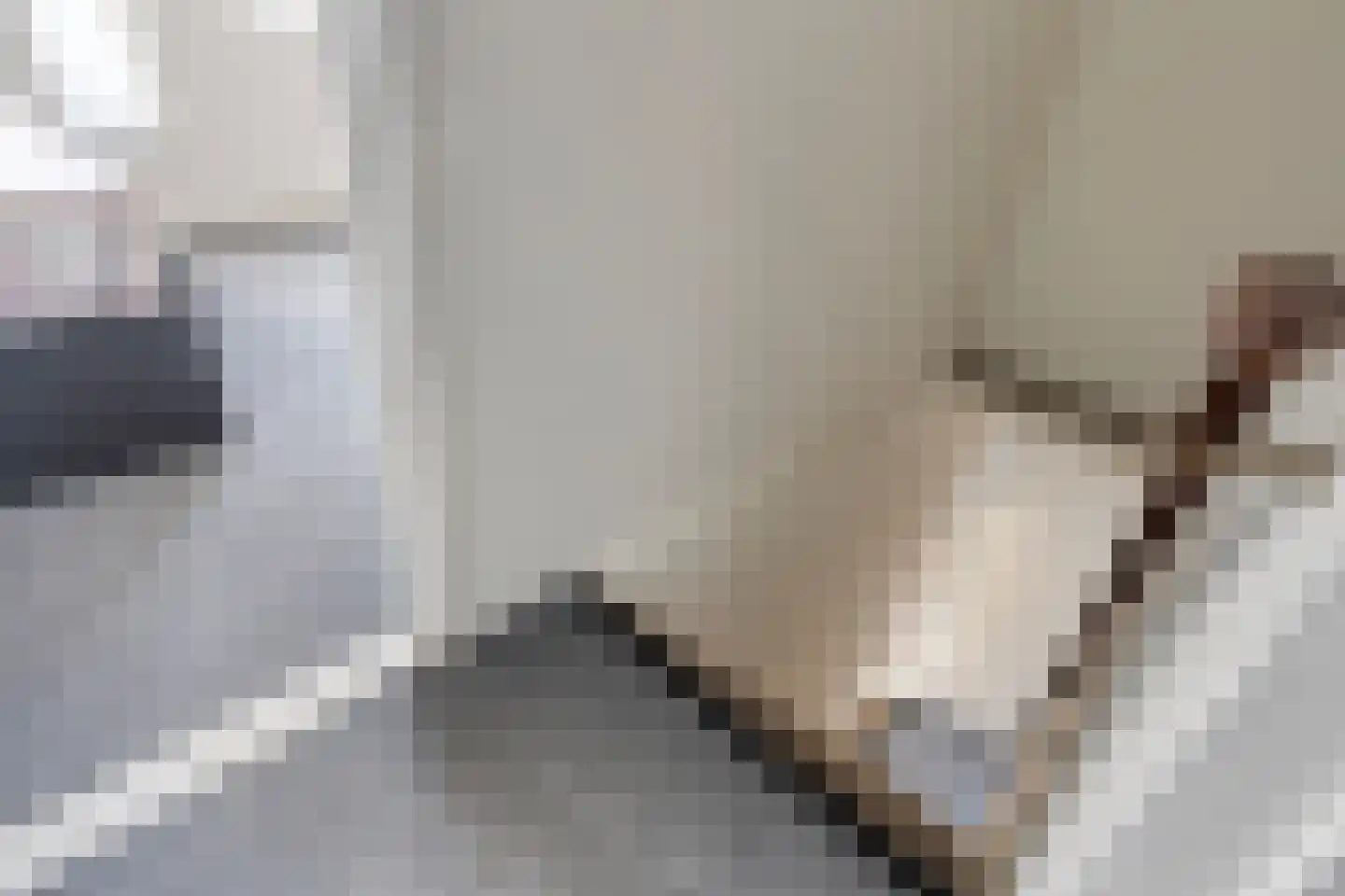 Nieuwe Karnemelkstraat 18 Koewacht thumbnail 23