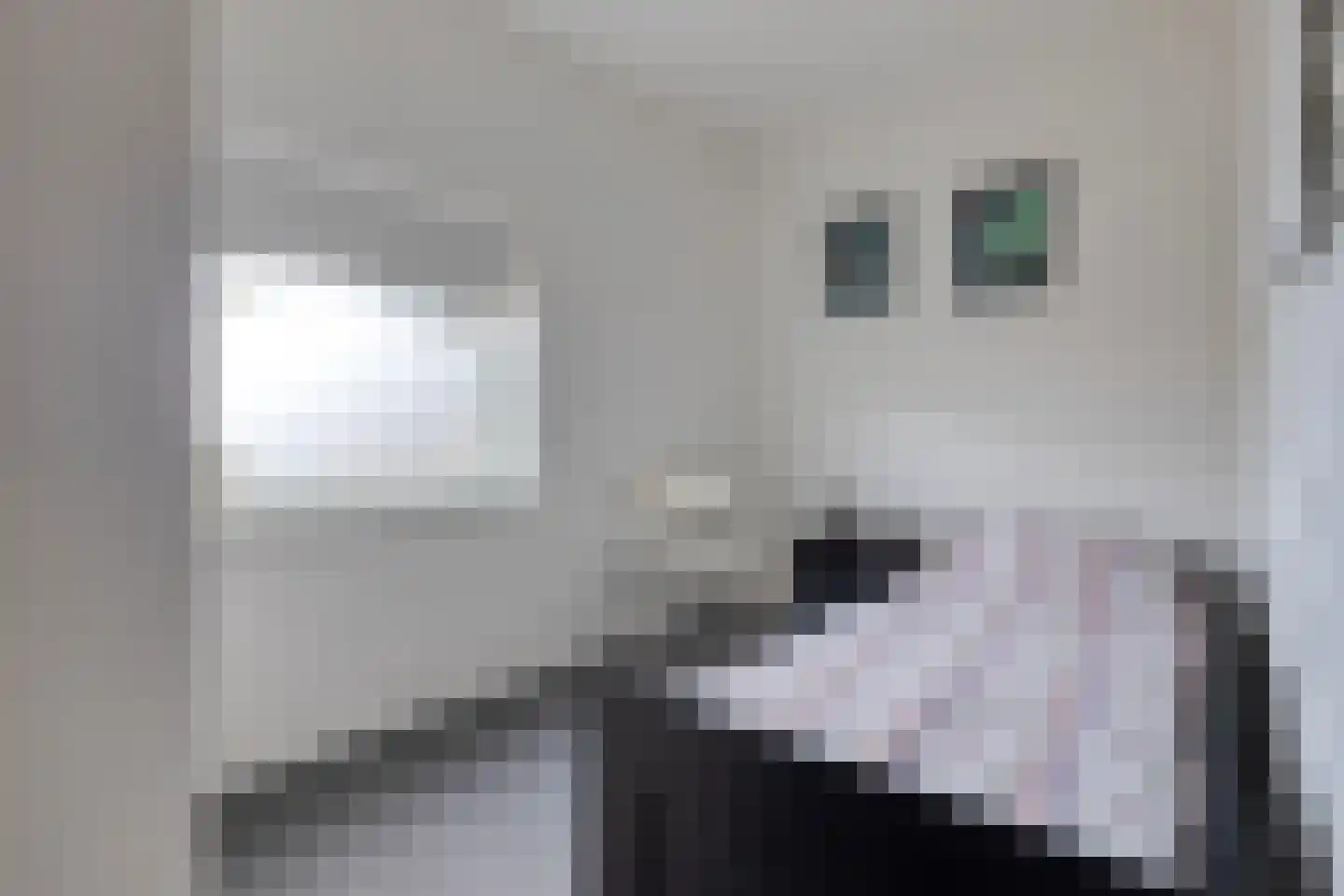 Nieuwe Karnemelkstraat 18 Koewacht thumbnail 24