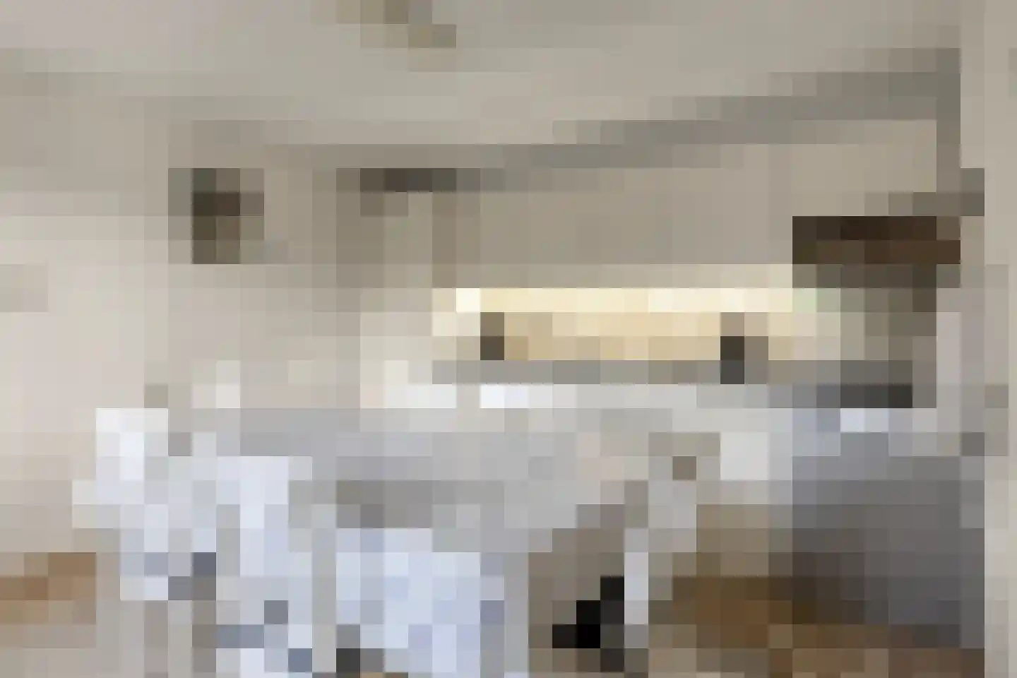 Nieuwe Karnemelkstraat 18 Koewacht thumbnail 29