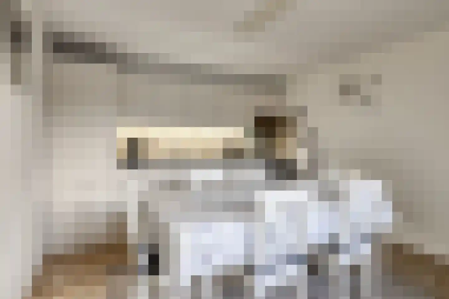 Nieuwe Karnemelkstraat 18 Koewacht thumbnail 30