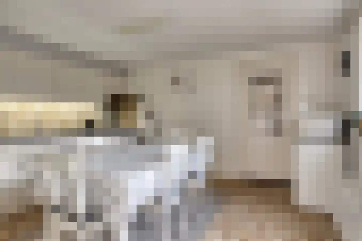 Nieuwe Karnemelkstraat 18 Koewacht thumbnail 31