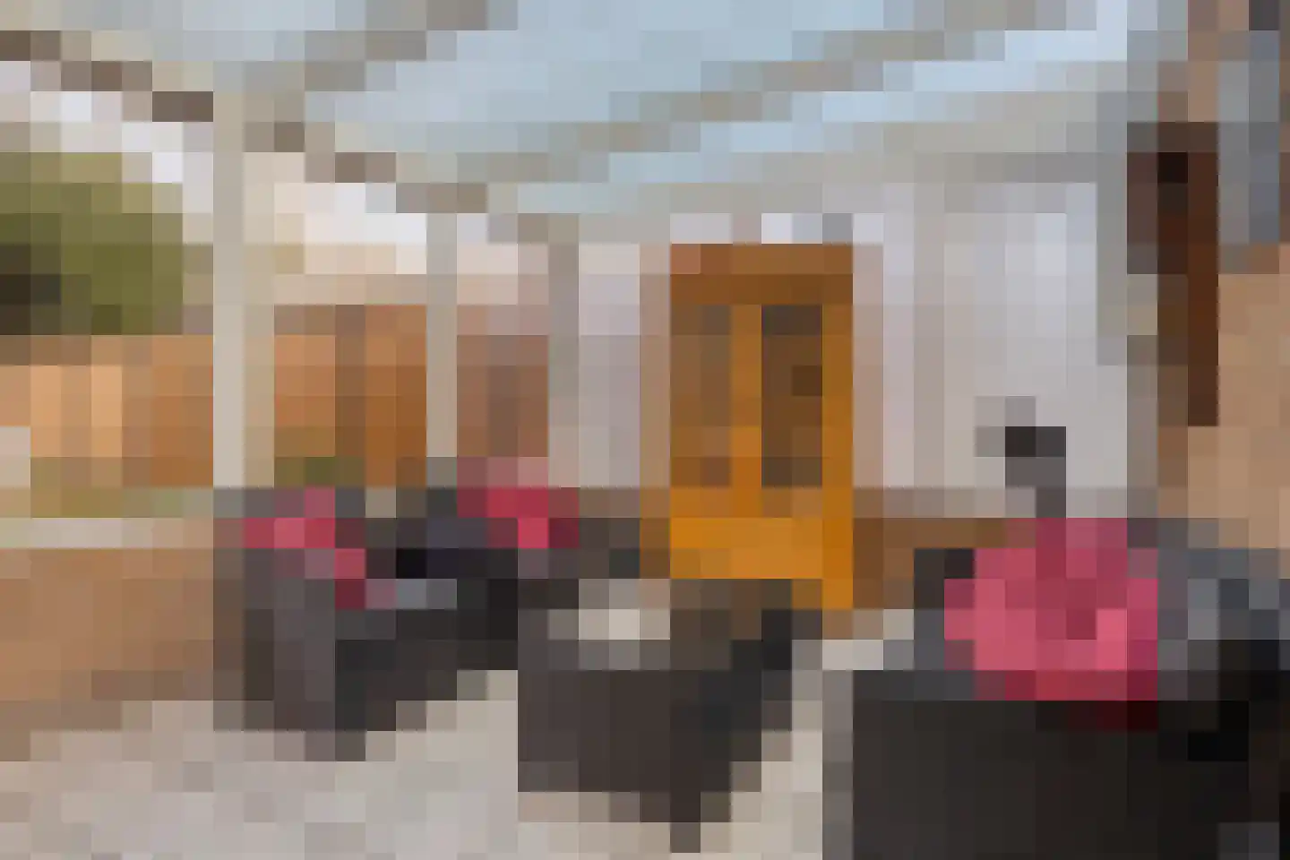 Nieuwe Karnemelkstraat 18 Koewacht thumbnail 32