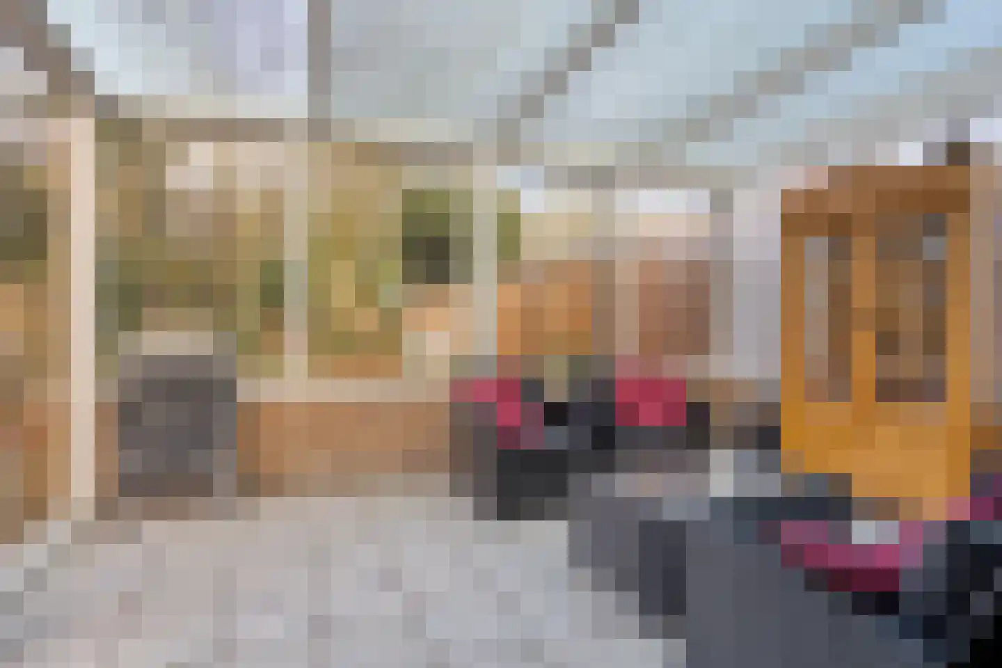 Nieuwe Karnemelkstraat 18 Koewacht thumbnail 33