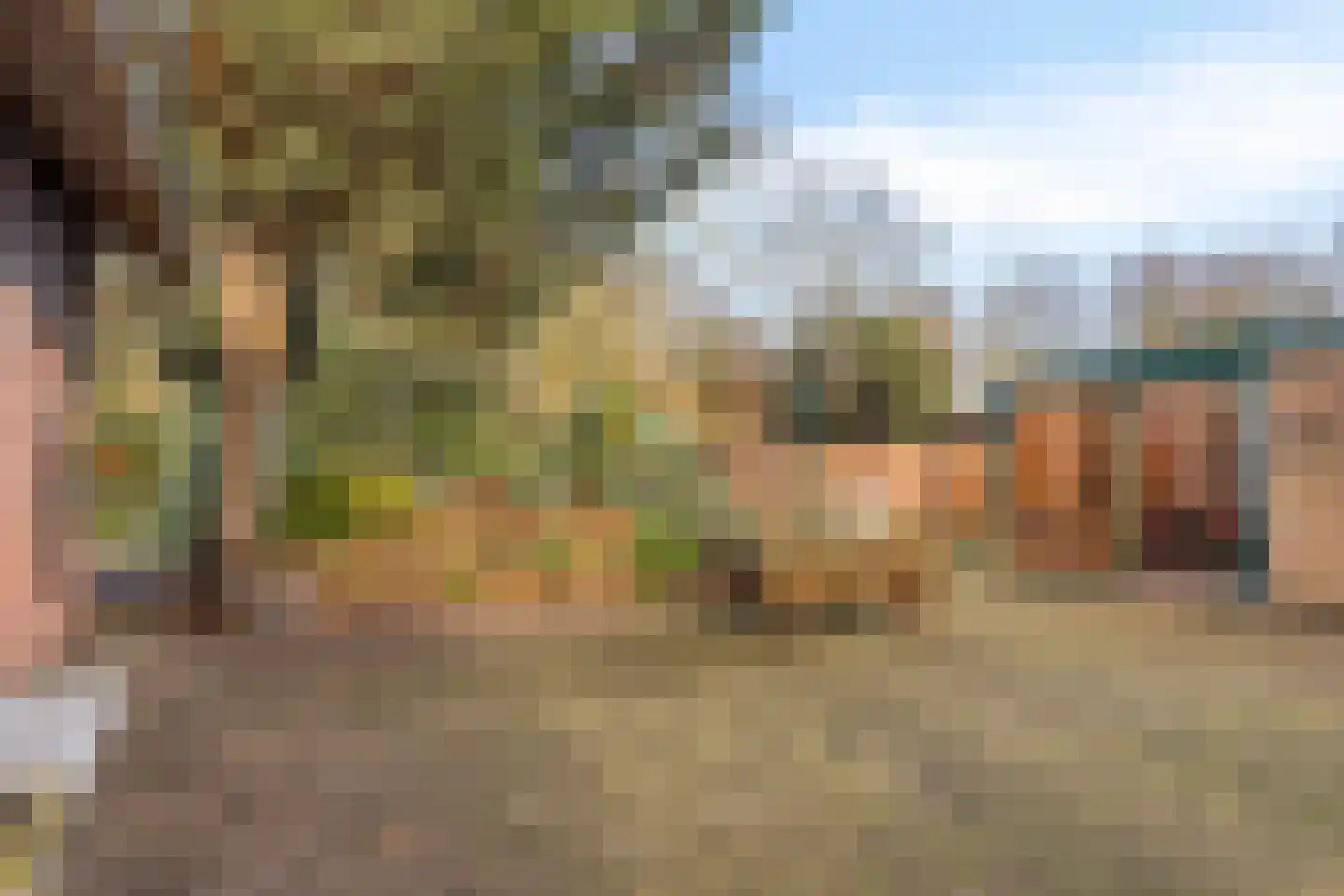 Nieuwe Karnemelkstraat 18 Koewacht thumbnail 36