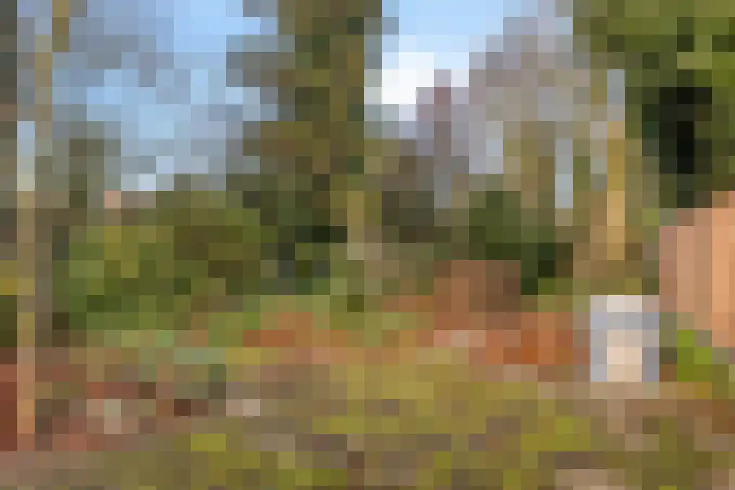 Nieuwe Karnemelkstraat 18 Koewacht thumbnail 37
