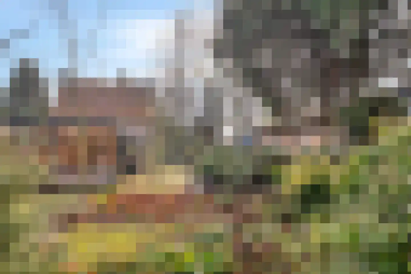 Nieuwe Karnemelkstraat 18 Koewacht thumbnail 38