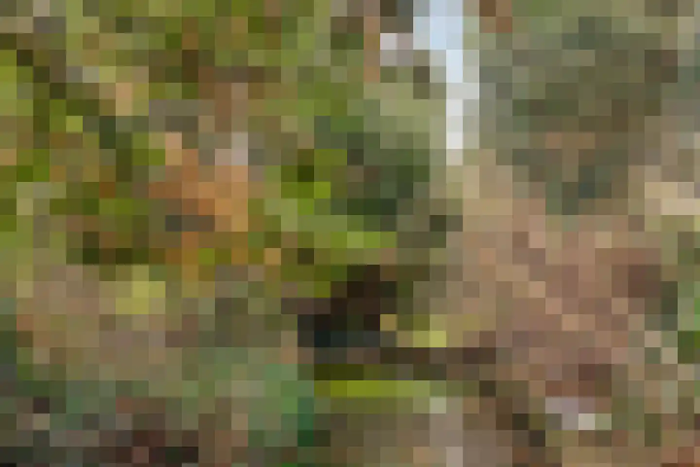 Nieuwe Karnemelkstraat 18 Koewacht thumbnail 40
