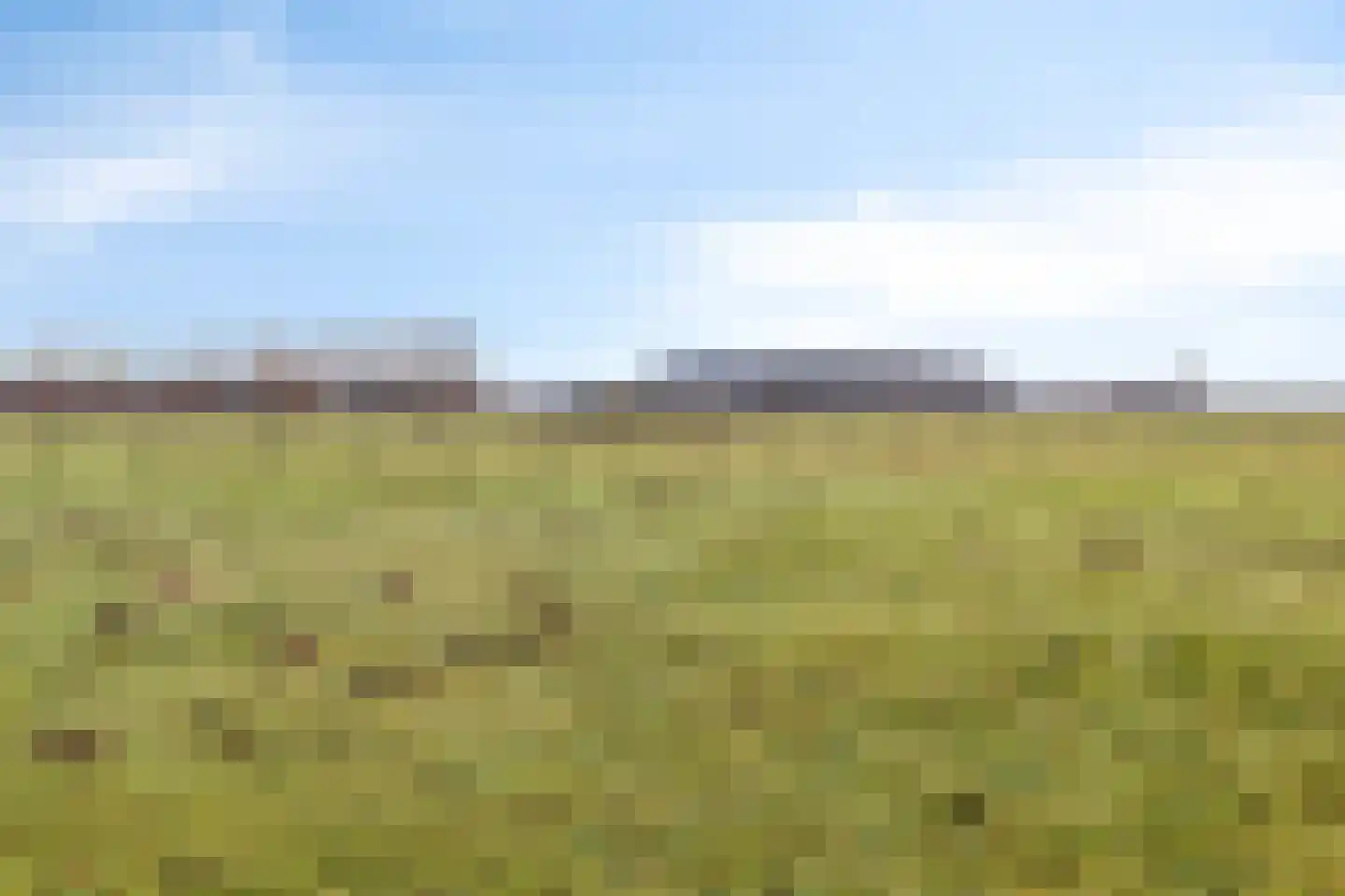 Nieuwe Karnemelkstraat 18 Koewacht thumbnail 45