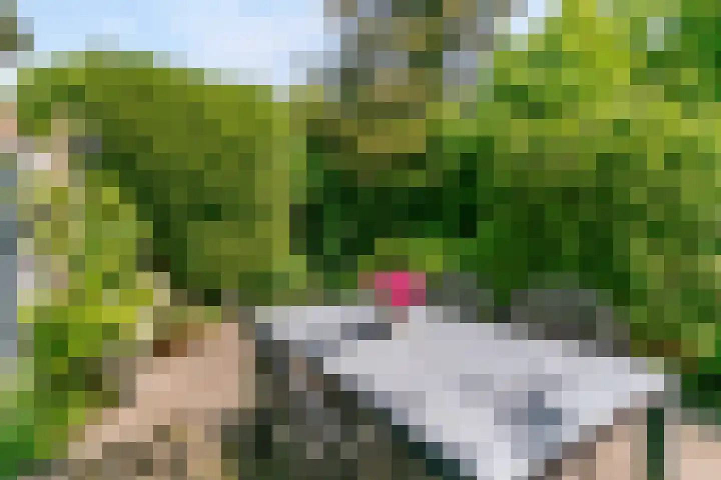 Nieuwe Karselaan 15 Amstelveen thumbnail 35