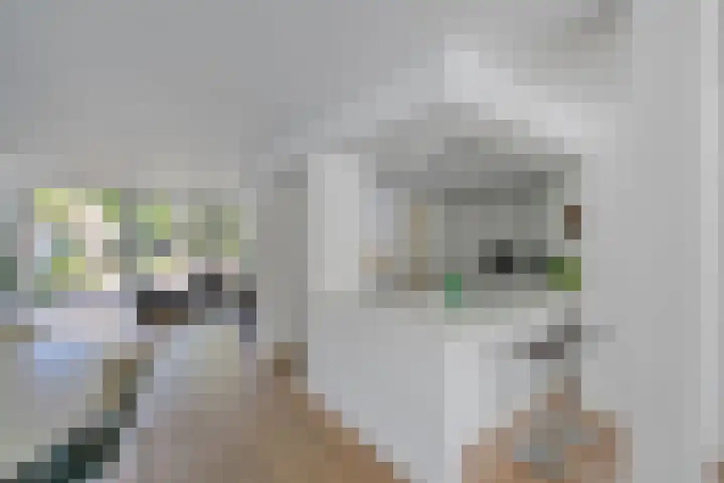 Nieuwe Karselaan 46 Amstelveen thumbnail 22