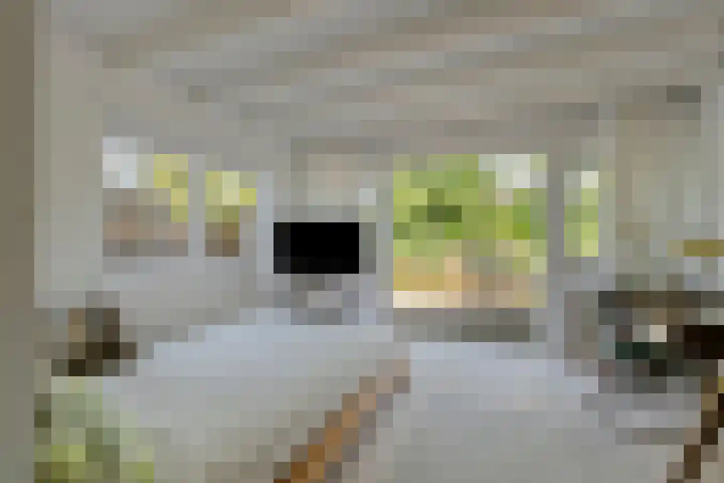 Nieuwe Karselaan 46 Amstelveen thumbnail 39