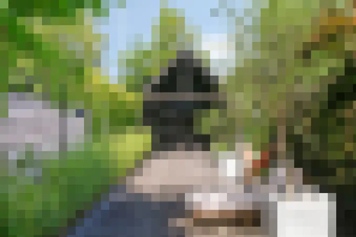 Nieuwe Karselaan 46 Amstelveen thumbnail 4