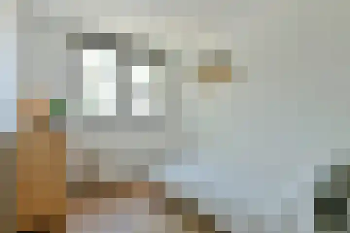 Nieuwe Karselaan 47 Amstelveen thumbnail 10