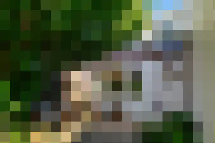 Nieuwe Karselaan 47 Amstelveen thumbnail 16