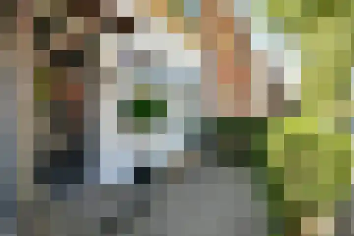 Nieuwe Karselaan 47 Amstelveen thumbnail 20
