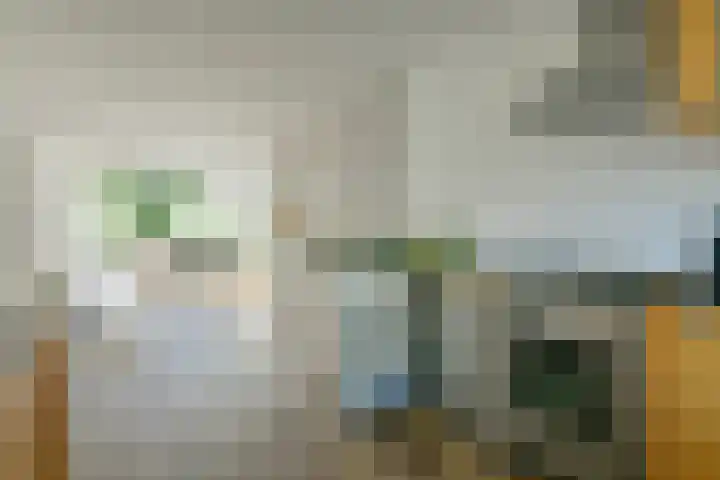 Nieuwe Karselaan 47 Amstelveen thumbnail 6